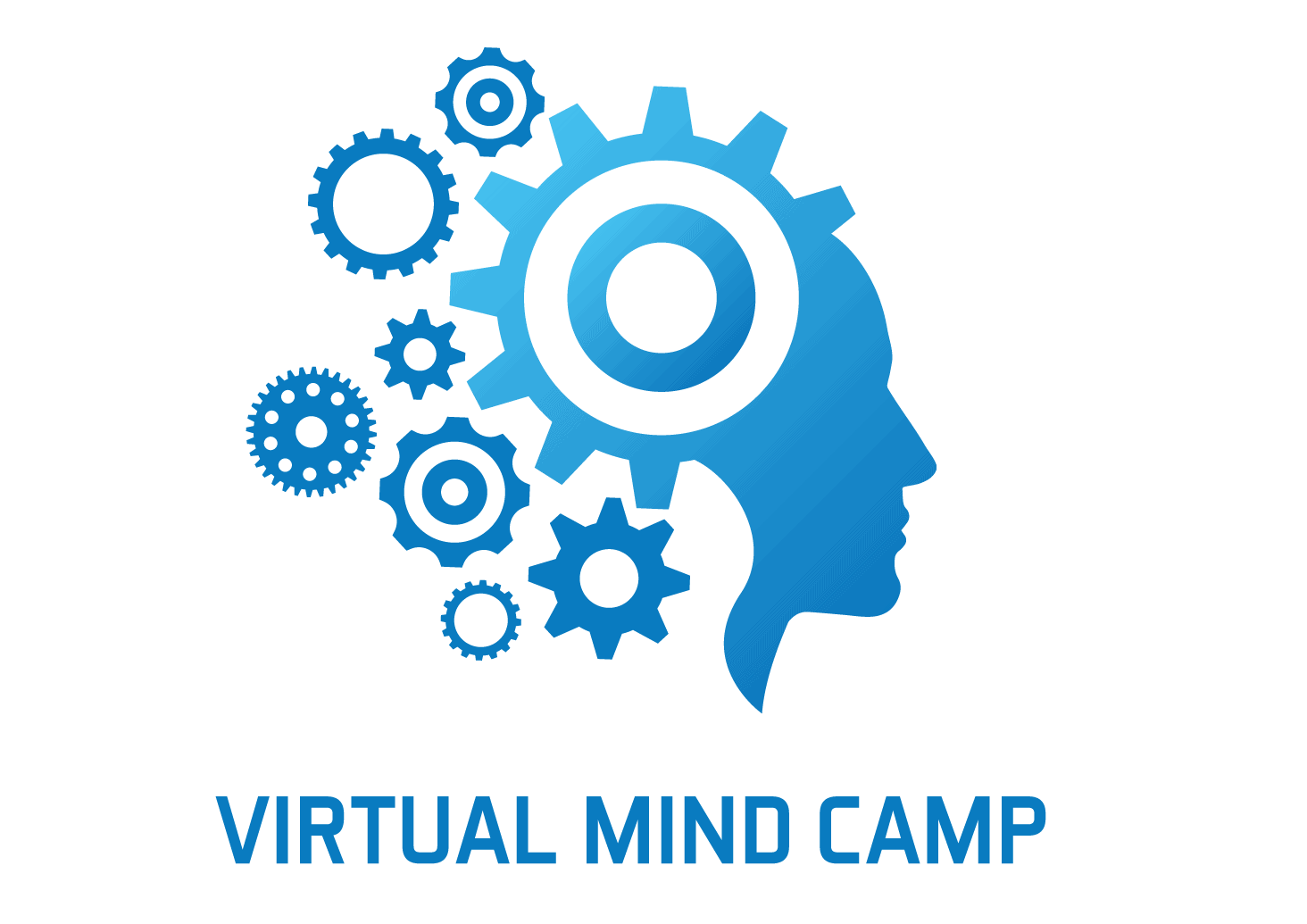 Virtual Mind Camp
